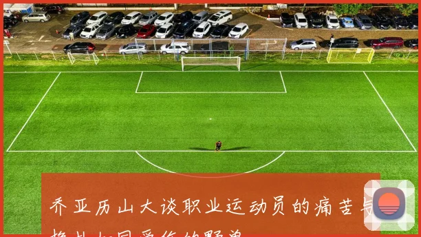 乔亚历山大谈职业运动员的痛苦与挣扎如同受伤的野兽