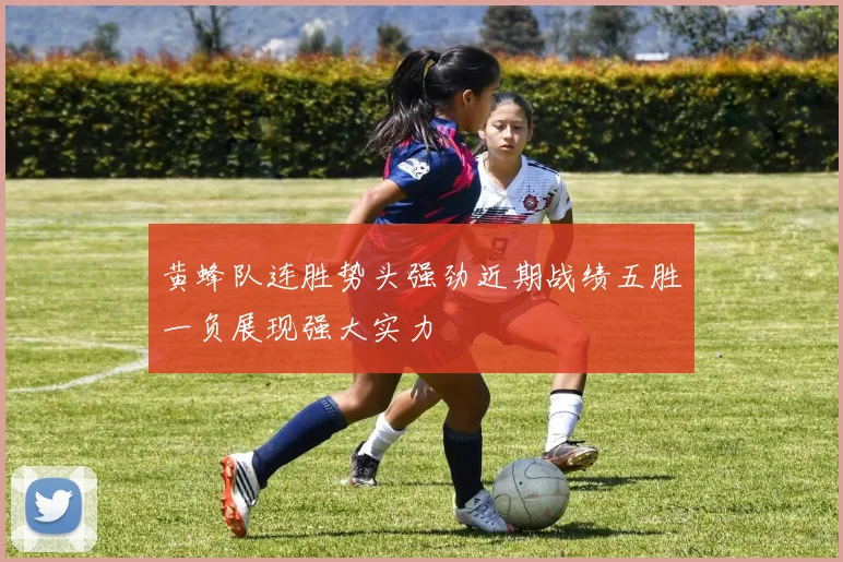 黄蜂队连胜势头强劲近期战绩五胜一负展现强大实力