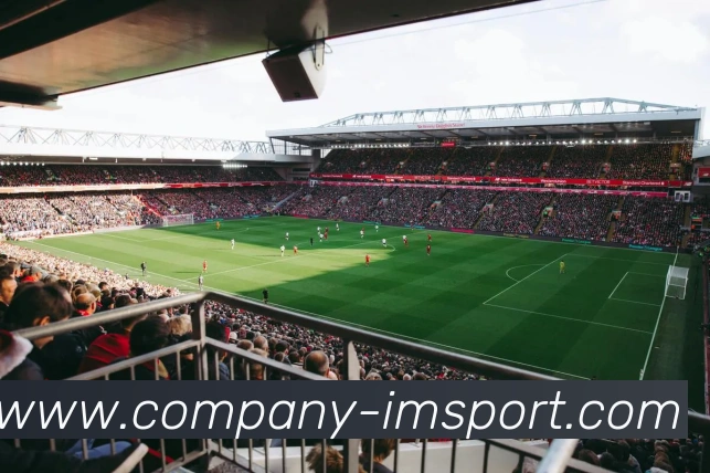 IM体育平台生态图