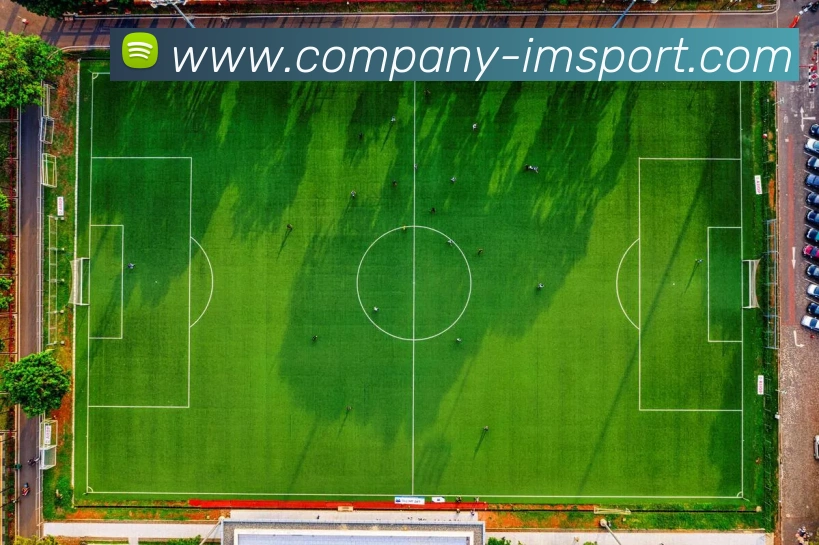 IM体育APP 封面图